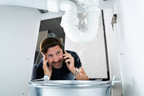 Best Leak Detection Services  in Bentleyville, PA